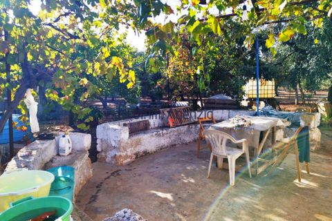 Landejendom i Carovigno, Brindisi, Carovigno - € 140.000 | Ref: 122621 - foto 9
